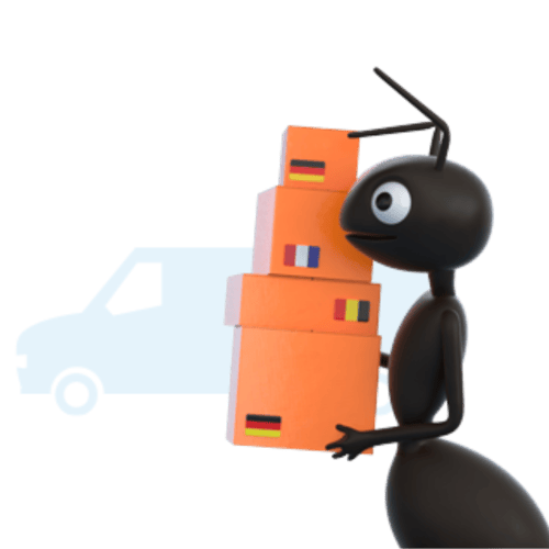 Home Page Graphics  (8)